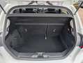Ford Fiesta 1.0 EcoBoost 100pk Titanium | Panoramadak | B&O | Wit - thumbnail 13