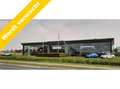 Toyota C-HR 1.8 Hybrid Adventure | Leder | Treeplanken | Dode Rood - thumbnail 1