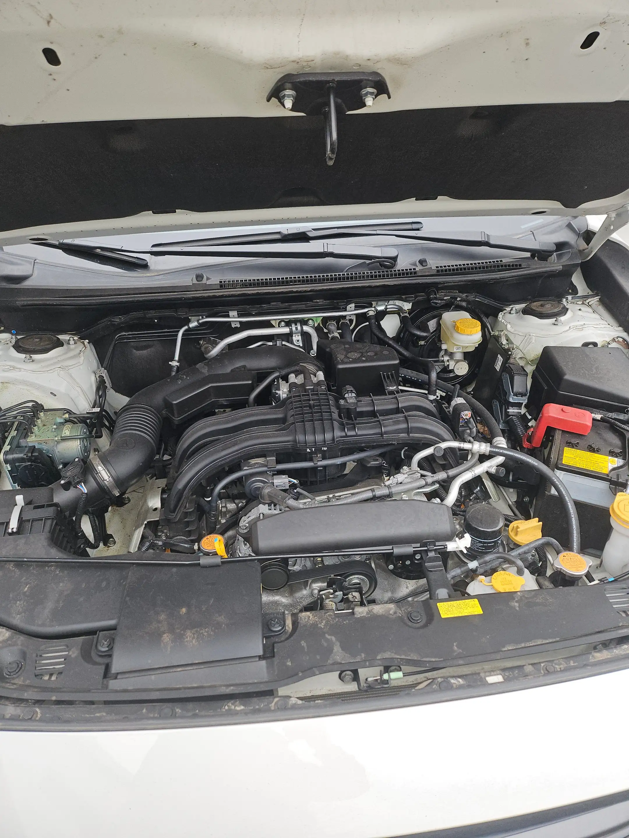Subaru XV 1.6i Exclusive CVT *wenig Kilometer* — photo 12