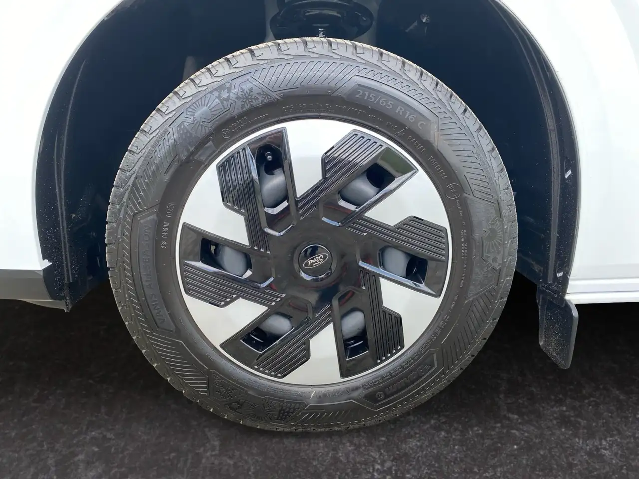 Ford Custom Trend 2.5 PHEV L1 ACC+PDC+KAMERA, миниатюра 15