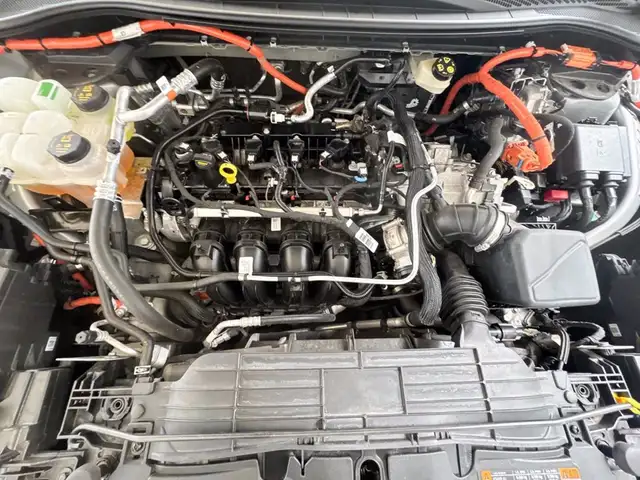 Ford Kuga view 14