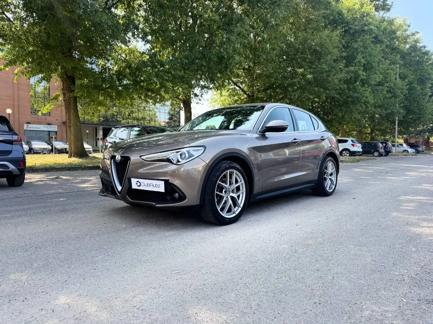 Alfa Romeo Stelvio 2.2 t Business rwd 180cv auto Beige - 1