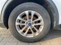 Ford Kuga TITANIUM 2.5 PHEV 225PS C FFKN SpurH SHZ Weiß - thumbnail 17