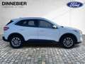Ford Kuga TITANIUM 2.5 PHEV 225PS C FFKN SpurH SHZ Weiß - thumbnail 6
