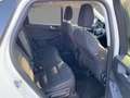 Ford Kuga TITANIUM 2.5 PHEV 225PS C FFKN SpurH SHZ Blanc - thumbnail 9