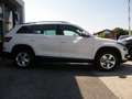Skoda Kodiaq 2,0 TDI SCR Ambition DSG Blanc - thumbnail 4