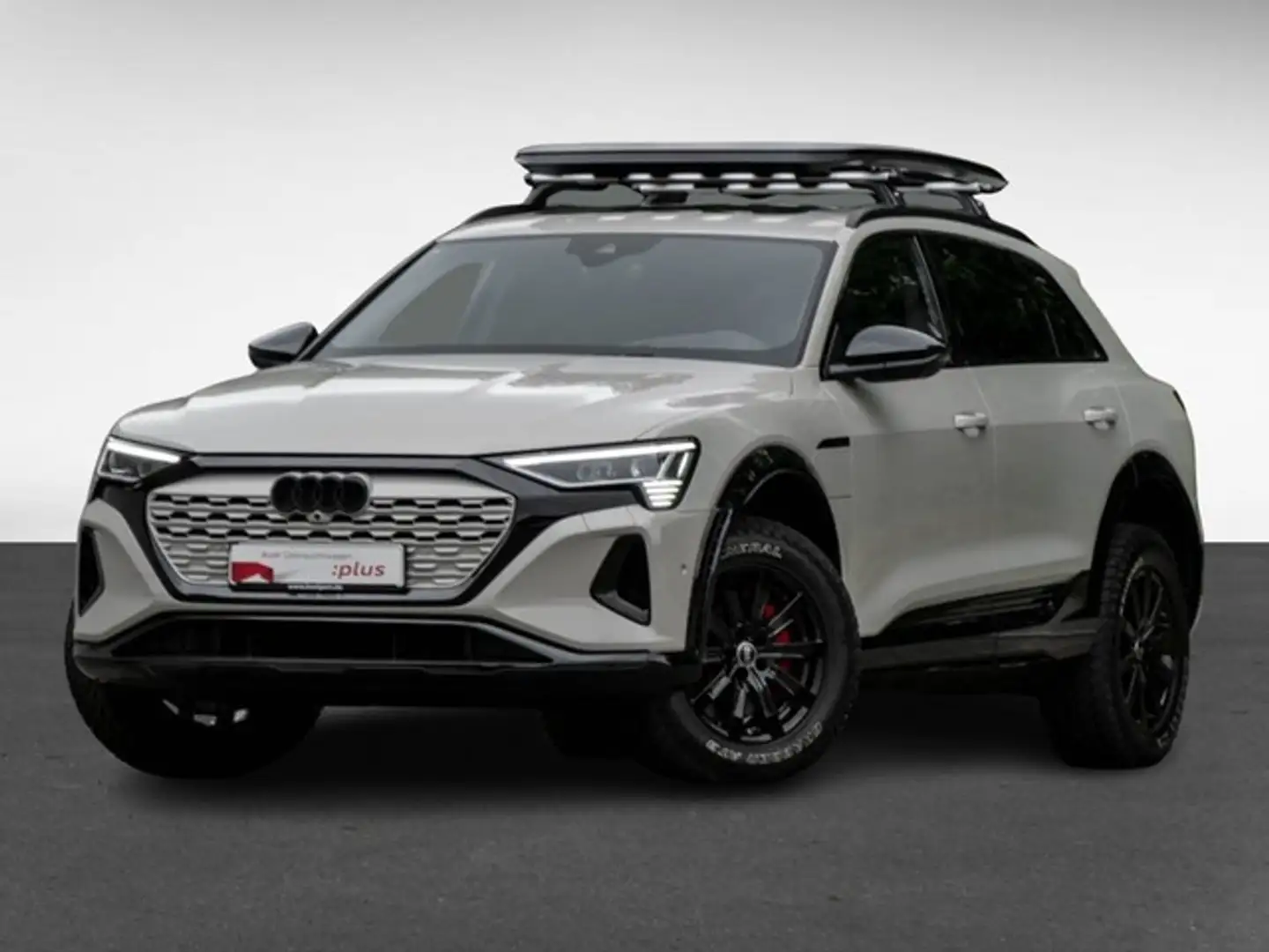 Audi Q8 e-tron 55 quattro **edition Dakar** SONDERMODELL Beige - 1