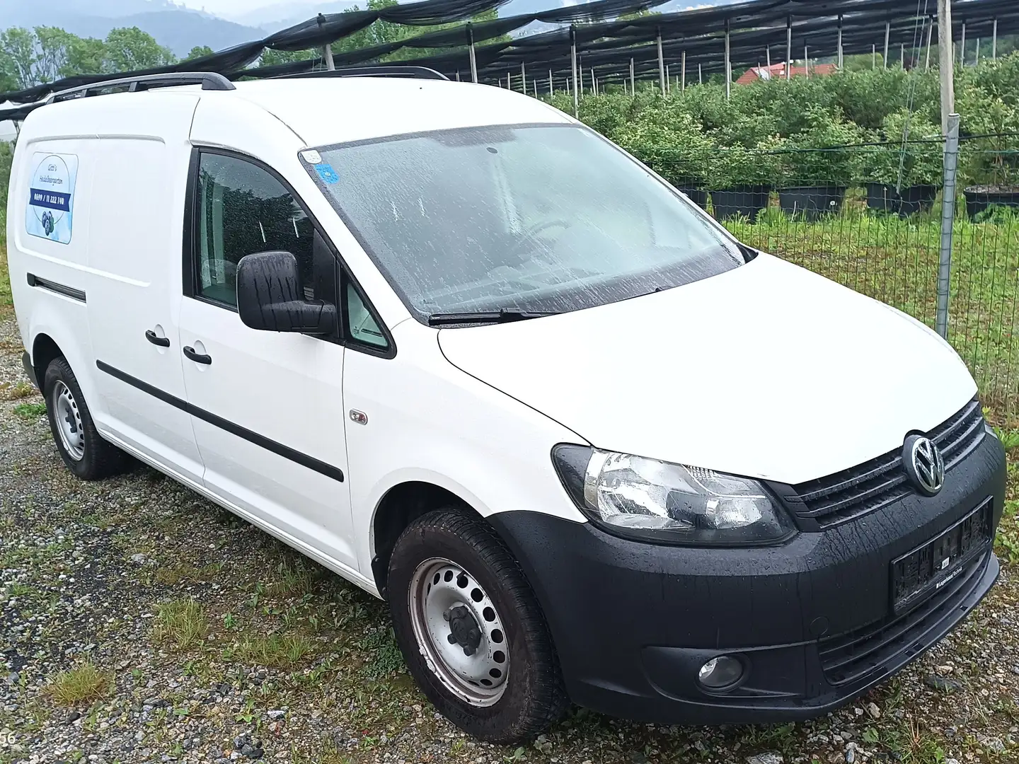 Volkswagen Caddy Kombi Maxi 1,6 TDI DPF Weiß - 1