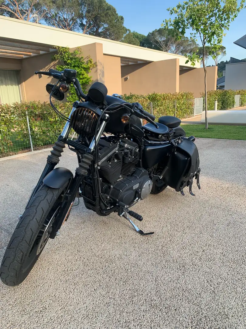 Harley-Davidson Iron 883 iron - 2