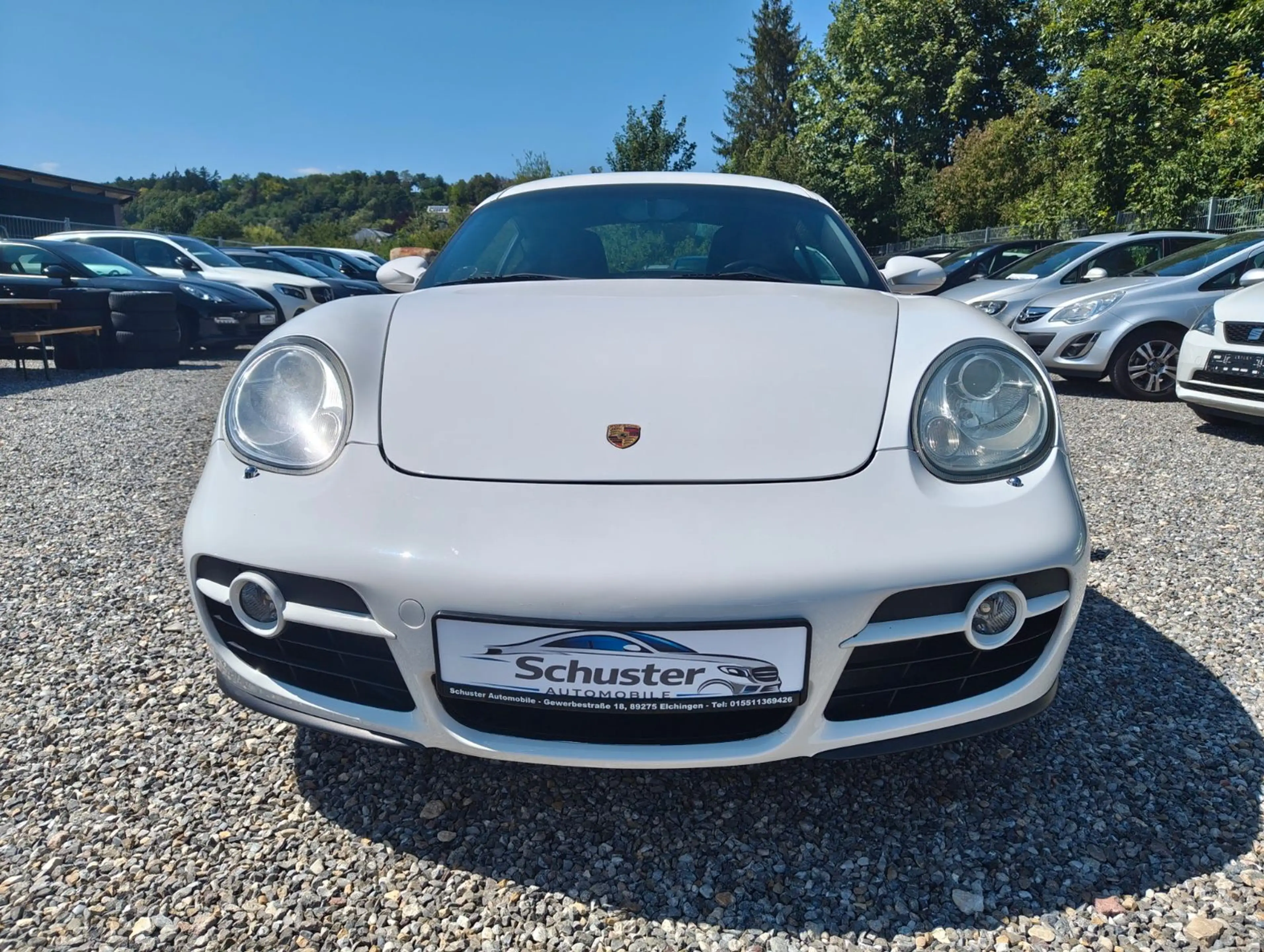 Porsche Cayman Basis — photo 2