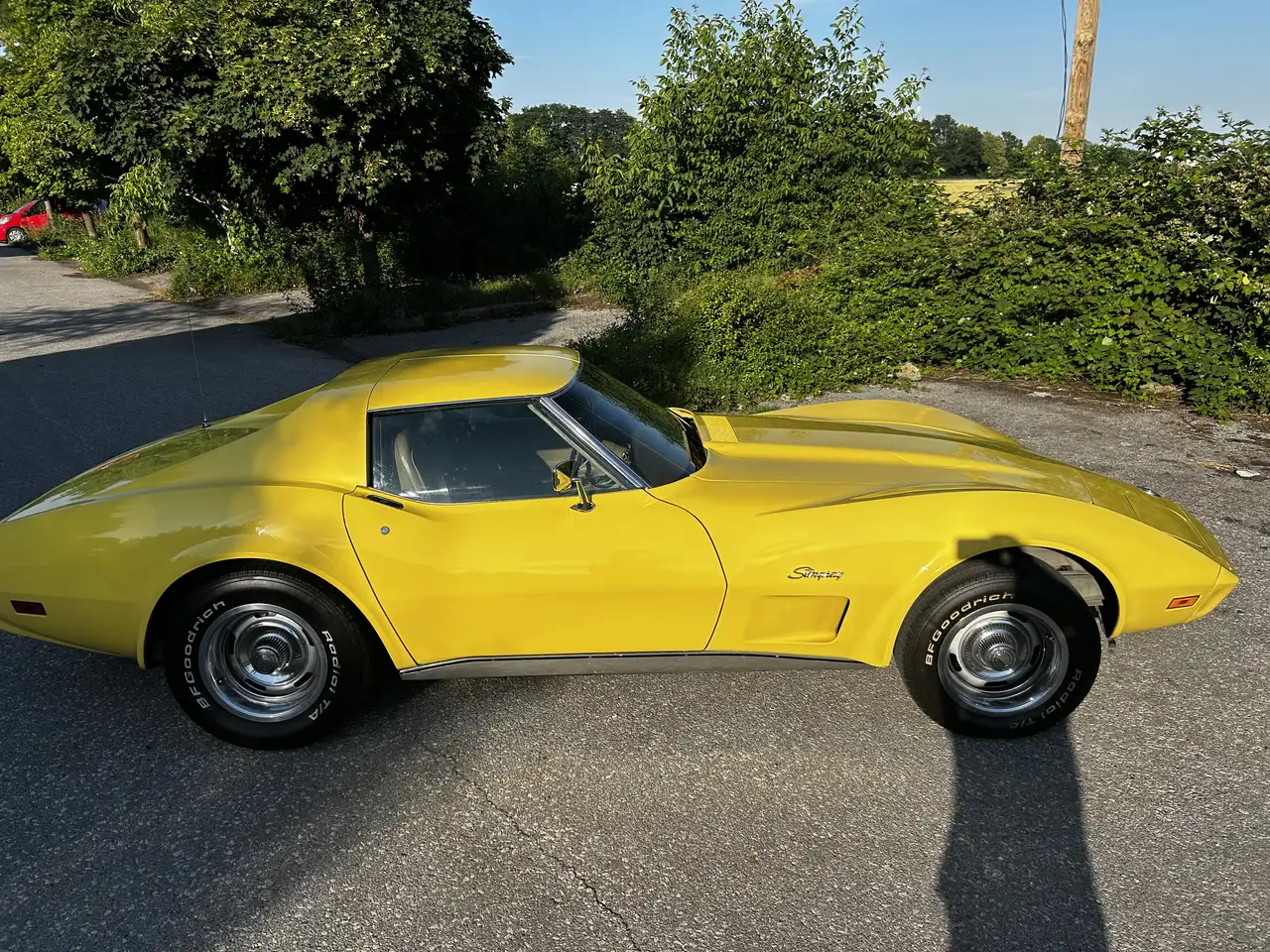 Corvette C3 Targa, foto 4