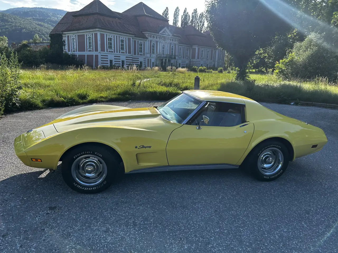 Corvette C3 Targa, foto 12