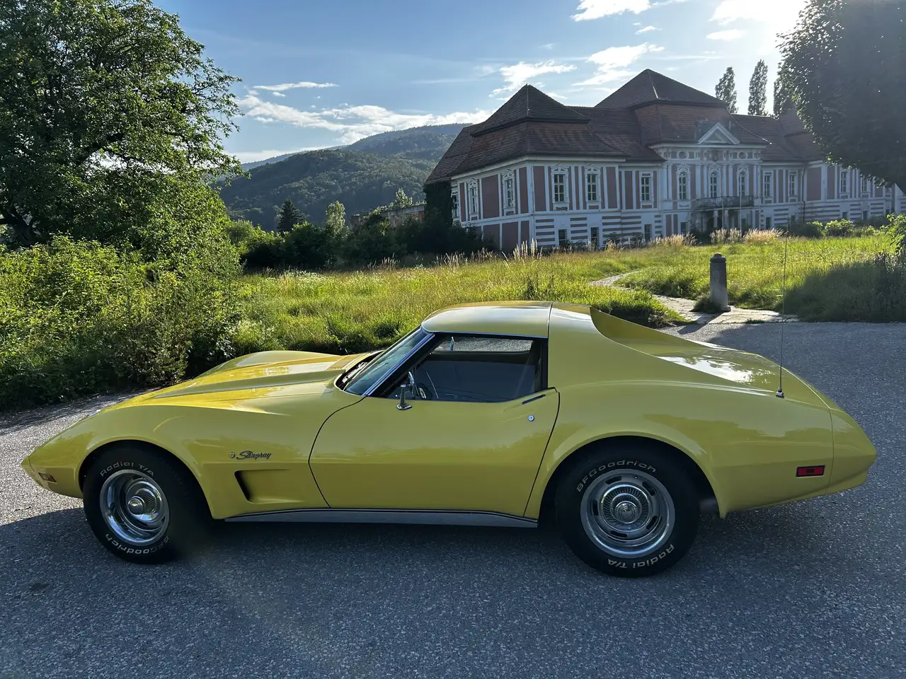 Corvette C3 Targa, foto 6