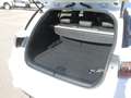 Lexus CT 200h CT Hybrid F Sport -187- Blanc - thumbnail 24