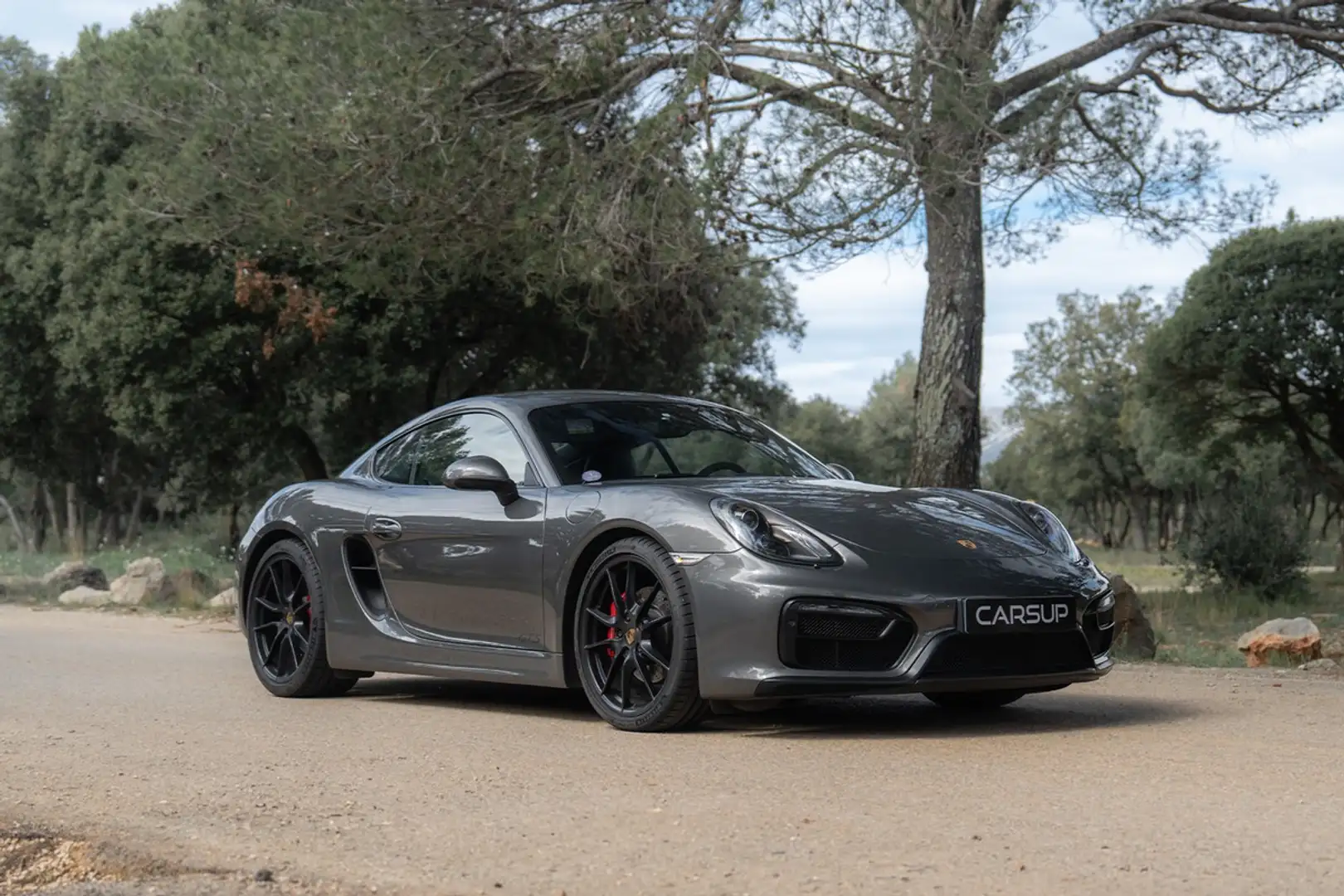 Porsche Cayman GTS Gris - 1