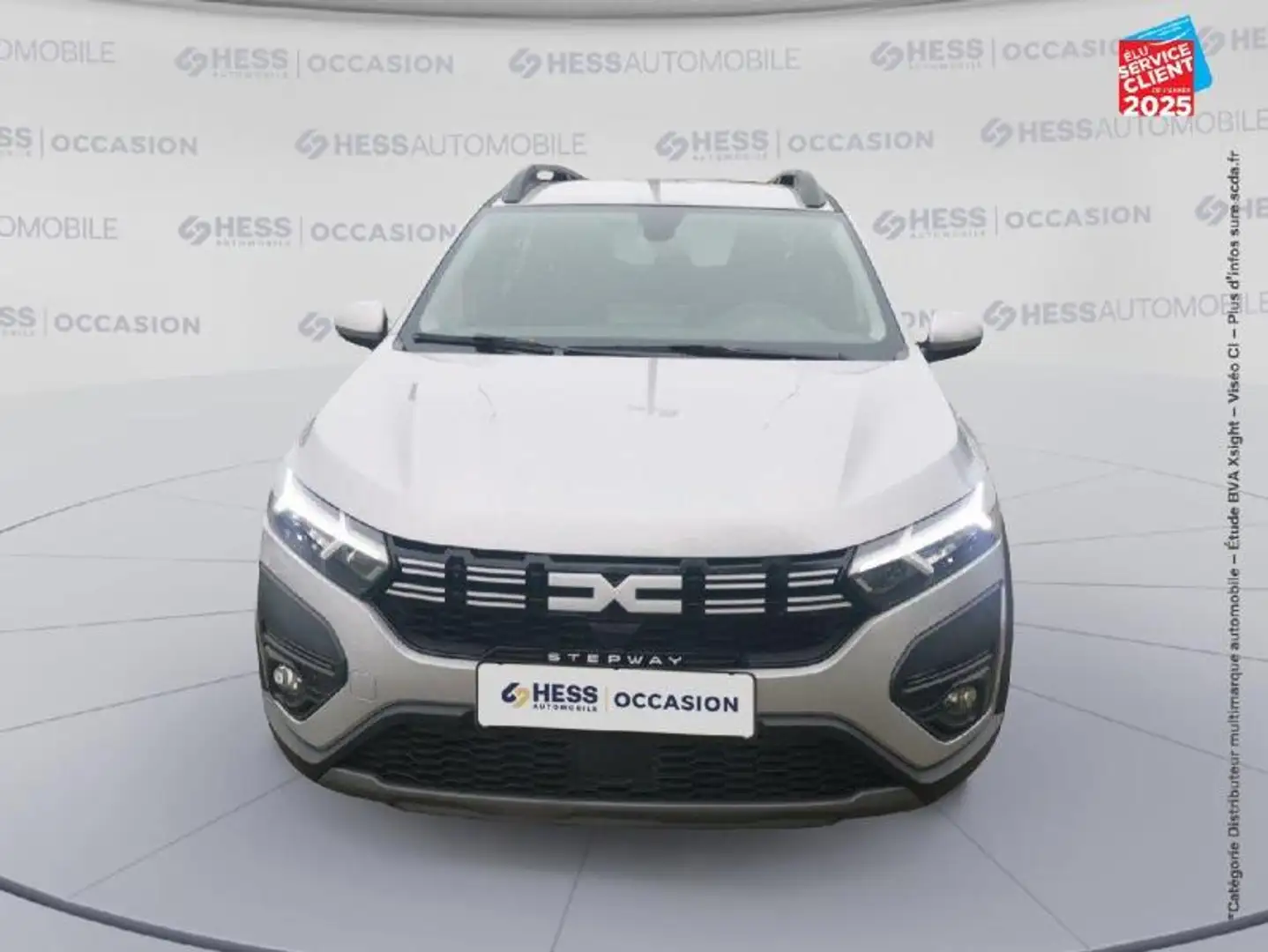 Dacia Sandero 1.0 ECO-G 100ch Stepway Expression Gris - 2