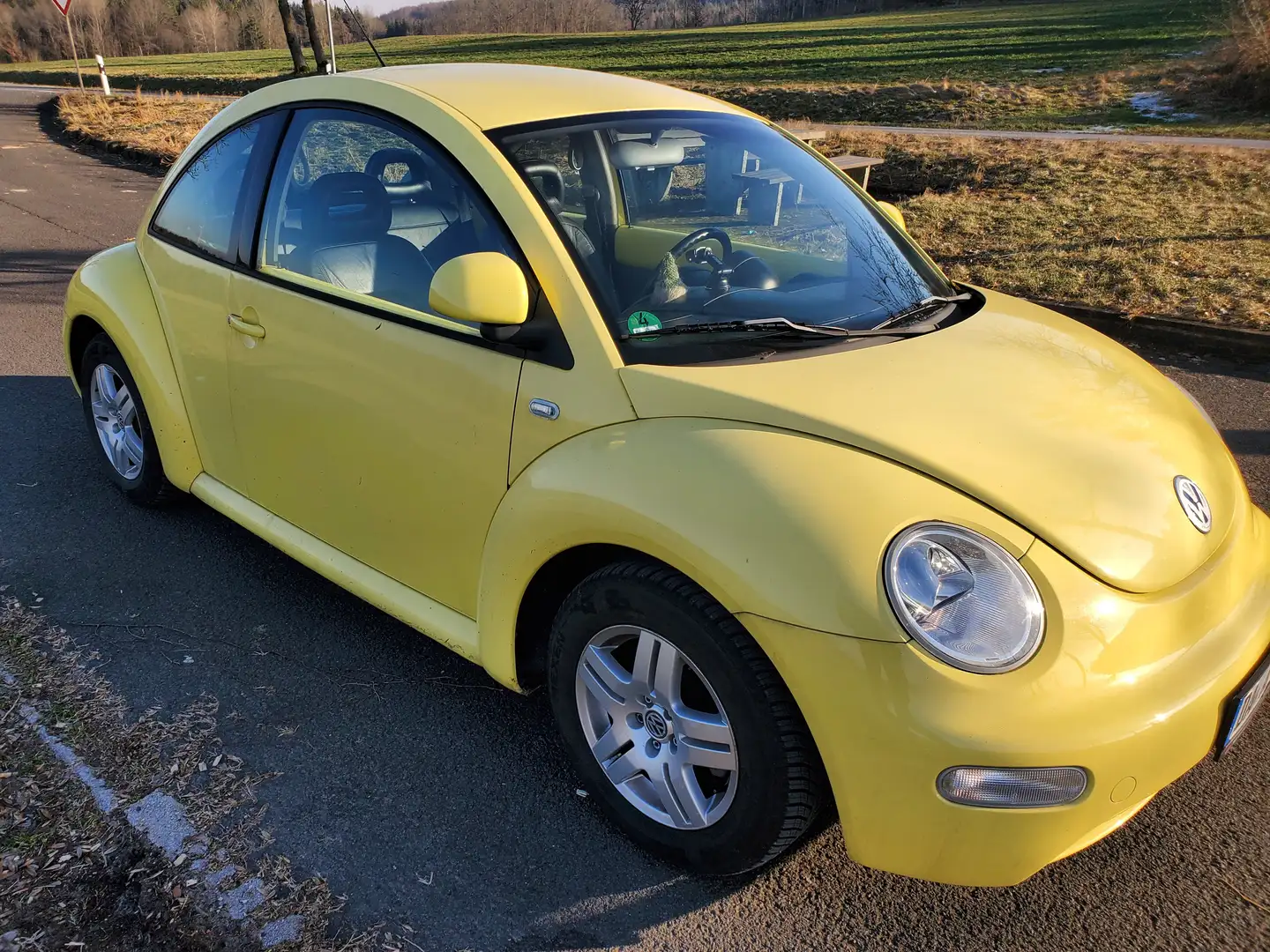 Volkswagen Beetle Geel - 1