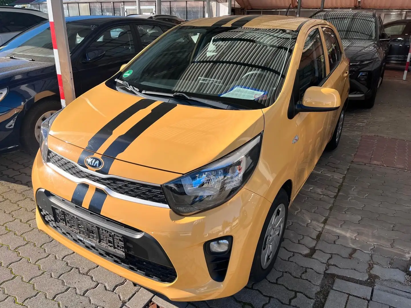 Kia Picanto Edition 7 1.2 Benzin Gelb - 1