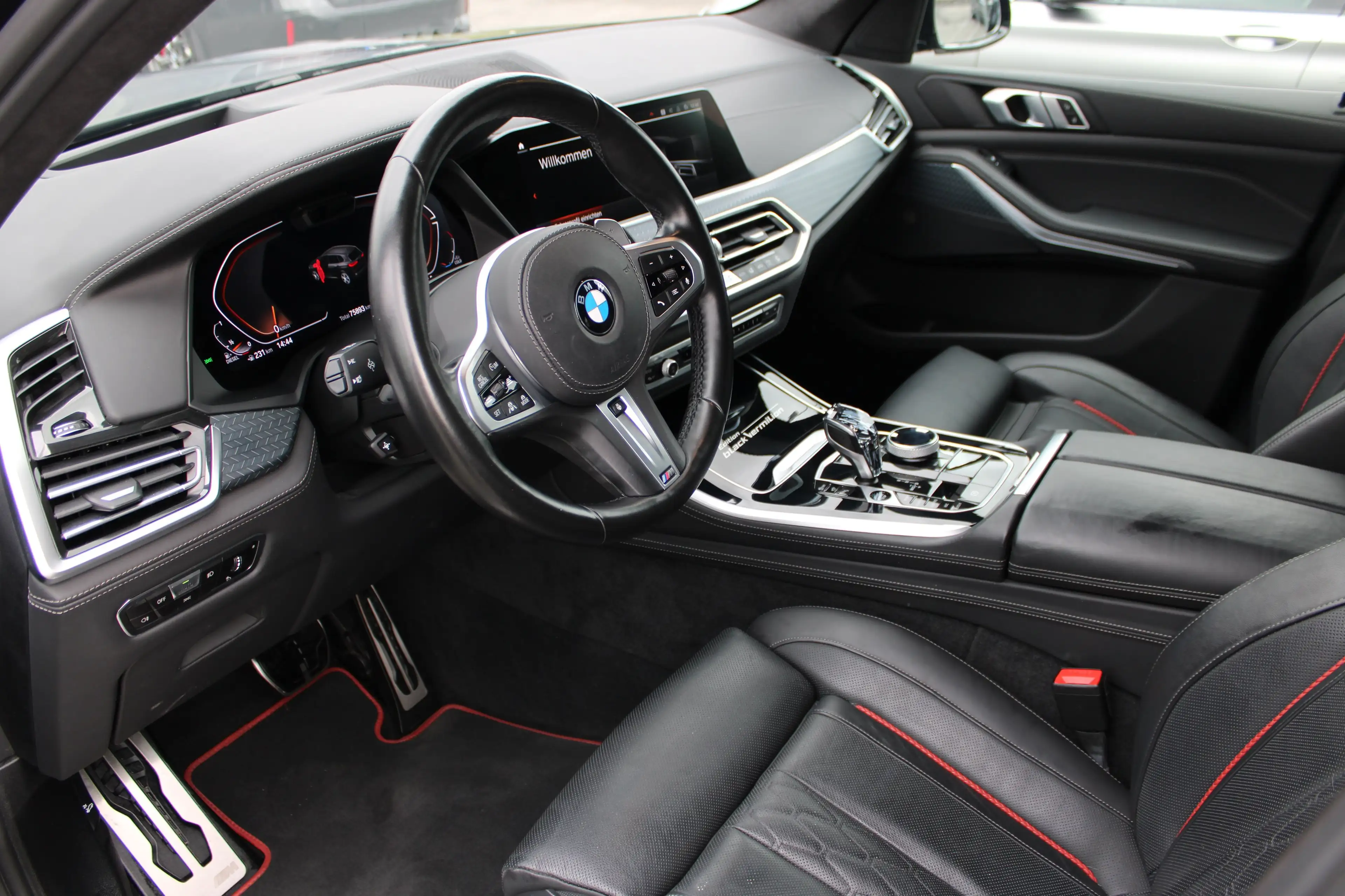 BMW X5 xDrive40d (2 — photo 8
