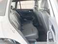 Volkswagen Tiguan 1.5 TSI DSG Hybrid R-Line Navi AHK Leder Weiß - thumbnail 12