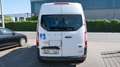 Ford Transit Custom 9sitz 310 L2 , Zahnriemen Neu Alb - thumbnail 7