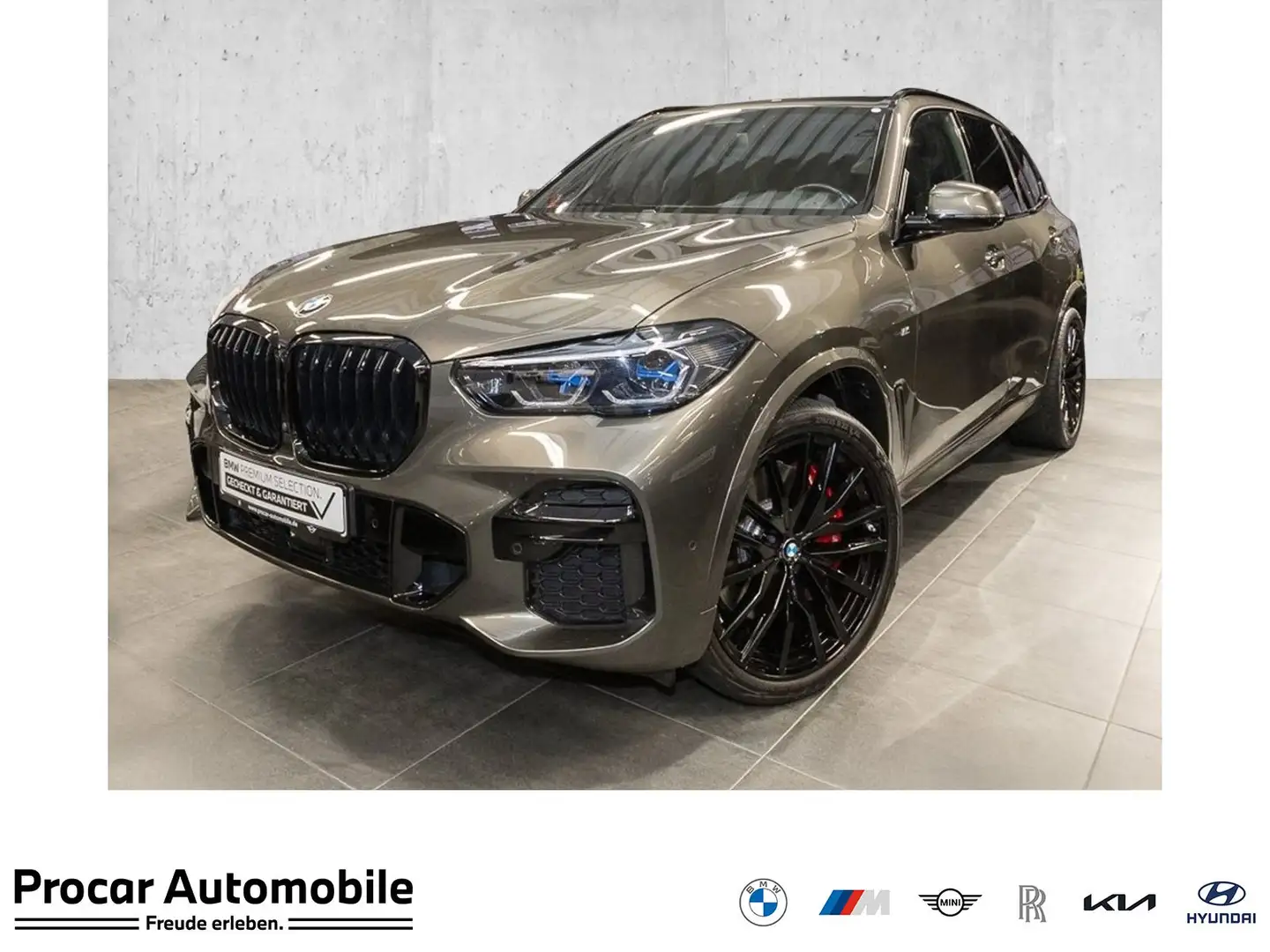 BMW X5 xDrive40d M Sport M Sportpaket Head-Up DAB Grau - 1