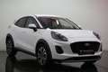 Ford Puma 1,0 EcoBoost Hybrid Titanium / Navi / großes Di... Blanc - thumbnail 2