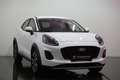 Ford Puma 1,0 EcoBoost Hybrid Titanium / Navi / großes Di... Blanc - thumbnail 1