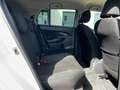 Toyota Urban Cruiser 1.4cc 90cv d-4d Awd NEOPATENTATI Blanc - thumbnail 14