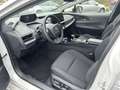 Toyota Prius Plug-in Hybrid Executive Bianco - thumbnail 8