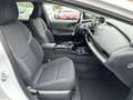 Toyota Prius Plug-in Hybrid Executive Bianco - thumbnail 14