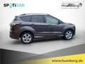 Ford Kuga 2.0 TDCi ST-Line 4x2 Navi Apple CarPlay Android Au Grau - thumbnail 8