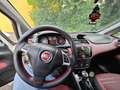 Fiat Punto Evo Neopatentati Punto Evo 5p 1.4 Emotion Gpl 77cv Blanc - thumbnail 10