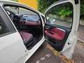 Fiat Punto Evo Neopatentati Punto Evo 5p 1.4 Emotion Gpl 77cv Blanc - thumbnail 8
