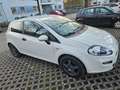 Fiat Punto Evo Punto 1,2 69 Pop Pop Weiß - thumbnail 3