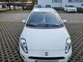 Fiat Punto Evo Punto 1,2 69 Pop Pop Weiß - thumbnail 2