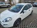Fiat Punto Evo Punto 1,2 69 Pop Pop Weiß - thumbnail 1