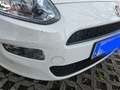 Fiat Punto Evo Punto 1,2 69 Pop Pop Weiß - thumbnail 5