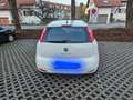 Fiat Punto Evo Punto 1,2 69 Pop Pop Weiß - thumbnail 4