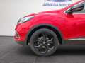 Renault Kadjar 1.3 TCe GPF Black Edition 117kW Rojo - thumbnail 32
