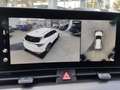 Kia Sportage GT Line 1.6D CRDi 48V Allrad DCT 360 Kamera Klimas Blanco - thumbnail 23