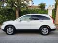 Honda CR-V Todoterreno Manual de 5 Puertas Blanc - thumbnail 5