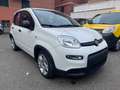 Fiat Panda PANDA 1.0 Hybrid LIFE - PREZZO REALE Blanc - thumbnail 2