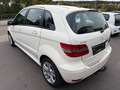 Mercedes-Benz B 180 B180 CDI Navi Shz Weiß - thumbnail 6