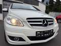Mercedes-Benz B 180 B180 CDI Navi Shz Weiß - thumbnail 15