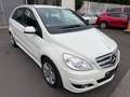 Mercedes-Benz B 180 B180 CDI Navi Shz Weiß - thumbnail 3