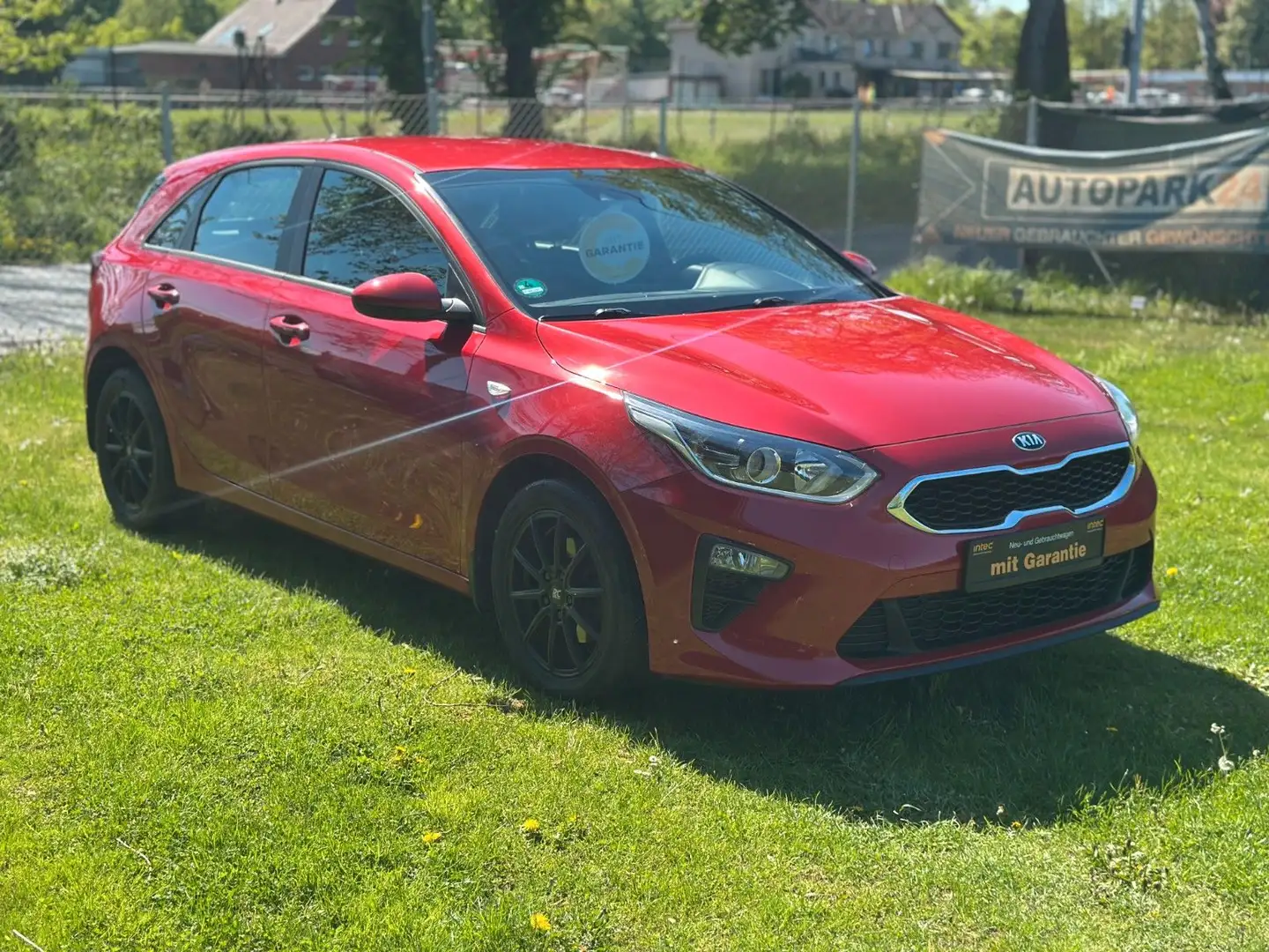 Kia Ceed / cee'd Ceed Edition 7*KLIMA*1,4 99PS* Roşu - 1