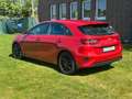 Kia Ceed / cee'd Ceed Edition 7*KLIMA*1,4 99PS* Roşu - thumbnail 5
