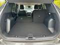 Ford Kuga FHEV Active 183PS 4x4 Automatik *auf Lager* Grau - thumbnail 5