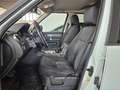 Land Rover Discovery 3.0 tdV6 HSE 211cv automatico Wit - thumbnail 7